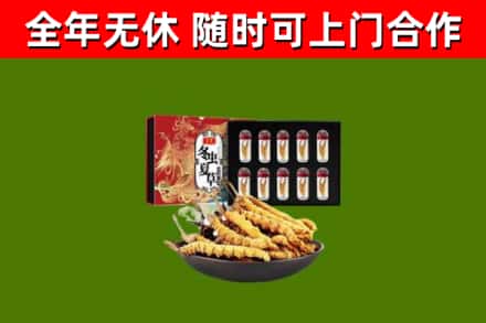 札达回收冬虫夏草价格